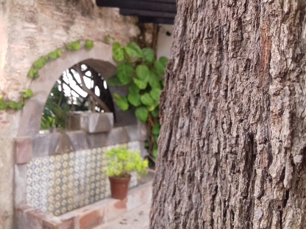 Hotel & Spa Dona Urraca San Miguel De Allende Dış mekan fotoğraf